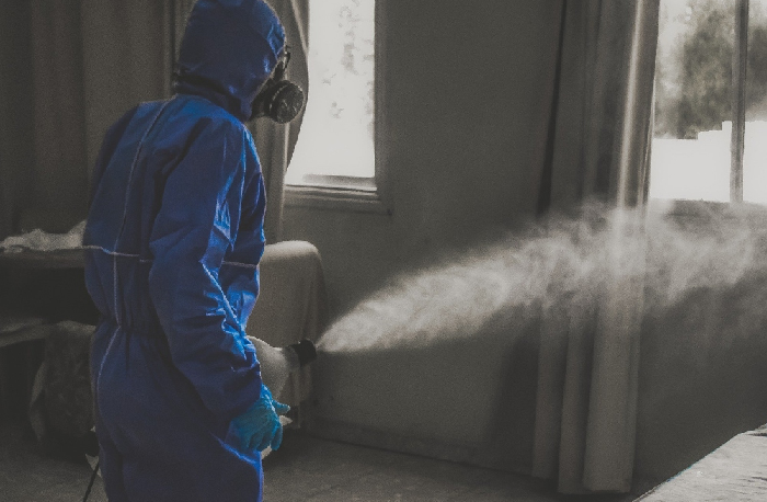 Descripción de la imagen